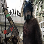 Macaquin_Capi's Avatar'