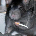 Kyvrox-_'s Avatar'