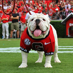 Valiant_Moon77's Avatar'