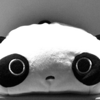 Sporg9000's Avatar'