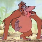 Der_Affe_'s Avatar'