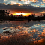 revoltgunns's Avatar'