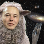 DMforSAB1060's Avatar'