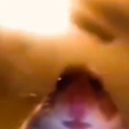 fnweeweegamer's Avatar'
