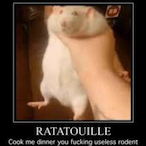 Off_TheGoop's Avatar'