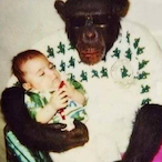 EacervejaEinnnn's Avatar'