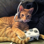 bobbyfishy72's Avatar'