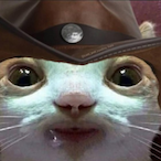 PeterRP1's Avatar'