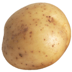 PotatoGunUser's Avatar'