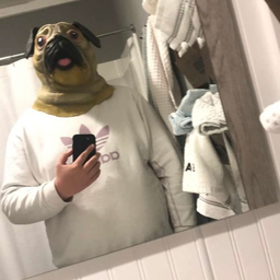 OggiTocugi