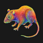 ImGeck0's Avatar'