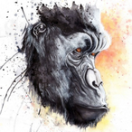 Sarighal's Avatar'