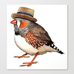 Mr..Finch's Avatar'