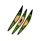 Raptor.QcAn's Avatar'