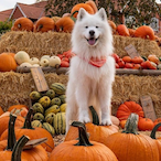 pleaseeeeeeeee's Avatar'