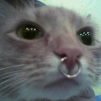 MerciIyss's Avatar'