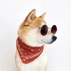 Mr.Zeit's Avatar'