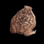 dtsheep33's Avatar'