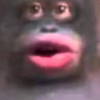 NeiL_Ly's Avatar'