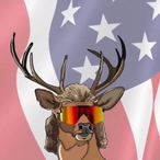 ShrlmpLips_'s Avatar'