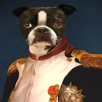 Luchaus's Avatar'