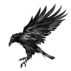 RiaRaven17's Avatar'