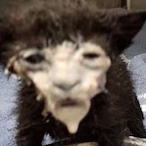 STUPIDISM69's Avatar'