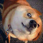 Zenn kashh's Avatar'