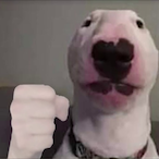 PP_M0nster's Avatar'