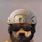 holy recxiI's Avatar'