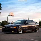 nerdydork67's Avatar'