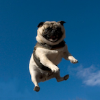 LeA8denJames's Avatar'