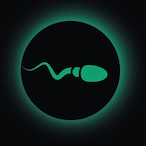 Top10JatosFodas's Avatar'