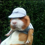 chingching-'s Avatar'