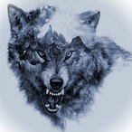 TheHuntingWolf_'s Avatar'