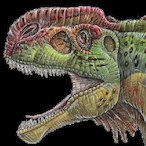 WeakPirate's Avatar'