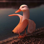 Westermann98's Avatar'