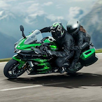 wilderbest's Avatar'