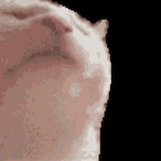 catJAMMER's Avatar'