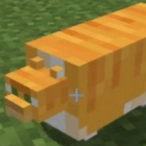 Loafy.'s Avatar'