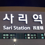 Sari_Station's Avatar'
