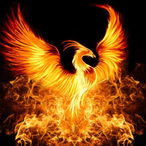 BicMac._.'s Avatar'