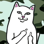 HowToNoob.exe's Avatar'
