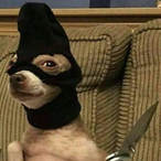 DrousyNoXy's Avatar'