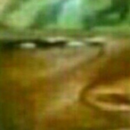 steen_is_tasty67's Avatar'