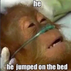 guest-lHfb4Oh2's Avatar