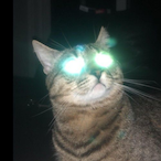 wet_hunter's Avatar'