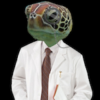 attackturtlecop's Avatar'