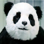 KimchiMan.No2's Avatar'