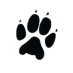 Trackchallenger's Avatar'